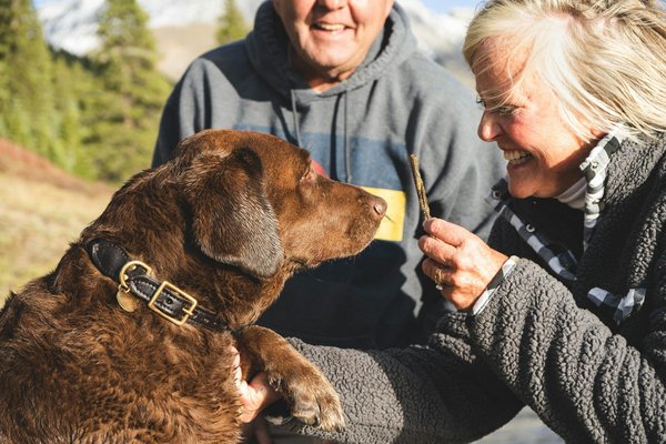 The benefits of having a pet for seniors